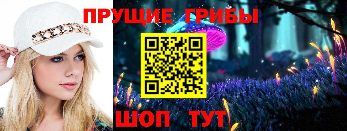 Псилоцибиновые грибы GOLDEN TEACHER Людиново